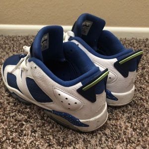Jordan 6s